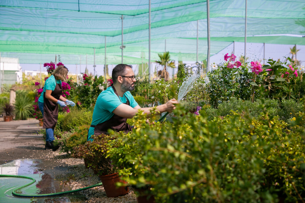 Urban Gardening Made Easy: Types, Benefits & How to Start