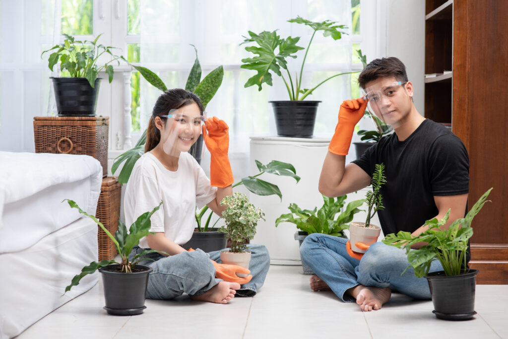 Apartment Gardening Made Simple: Techniques, Plants & Care”