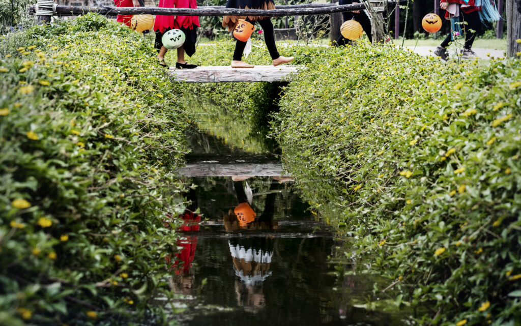 Epic Gardening: From Backyard Blog to Global Green Empire